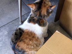 -后海16号·北京私房菜