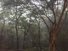 -普陀山佛顶山索道