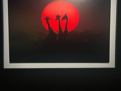 -罗红摄影艺术馆