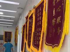 -中农国际动物医院24小时·猫科·骨科·急重症中心