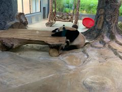 -海南热带野生动植物园
