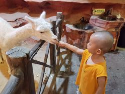 -酷嗒动物文化乐园(cutezoo西溪乐天城店)