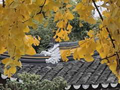 -西园寺素食(西园弄戒幢律寺店)