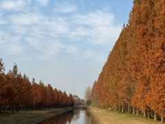 -黄海国家森林公园