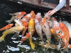 -西园寺素食(西园弄戒幢律寺店)