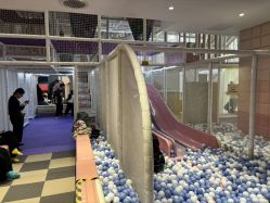 -奈尔宝家庭中心·亲子餐厅(华采天地店)