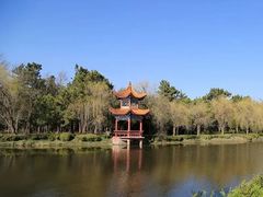 -渡海小渔村.老辈日照菜