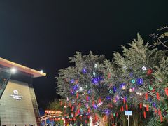 -三亚红色娘子军演艺公园景区
