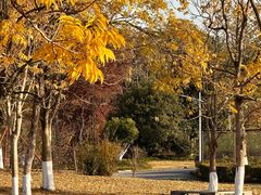 -浙江农林大学(东湖校区)