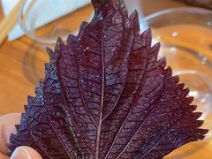 -丁荣华炸串(托乐嘉店)