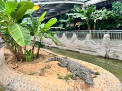 -石家庄市动物园