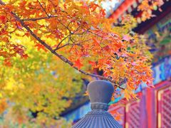 -香山公园