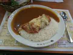 20120219527-CoCo壱番屋(久光百货店)