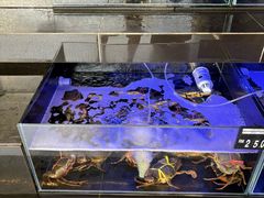 -真浪花园海鲜餐馆