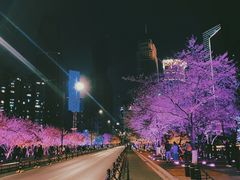 -西北湖绿化广场