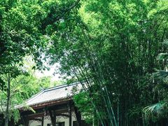 -望江楼公园