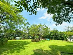 -芭厘·农庄老字号.电饭煲五指毛桃焗鸡