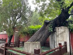 -天宁寺
