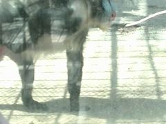 android_upload_pic-新疆天山野生动物园