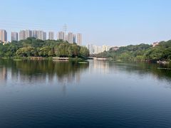 -重庆彩云湖湿地公园