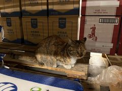 -麦德龙(京顺路商场店)