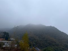 -金台阶鱼馆(于桥水库店)