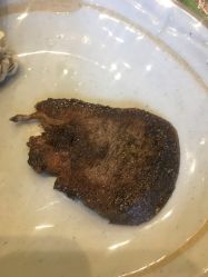 牛舌-千叶KEER(西铁营万达广场店)