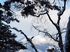 -秦岭风景区