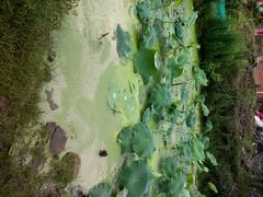 android_upload_pic-万达影城(金华万达广场IMAX店)
