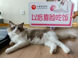 -小黑裙瑜伽·普拉提