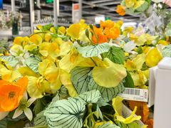 -宜家家居(高新商场店)