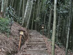 -蜀南竹海景区