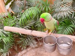 -南宫五洲植物乐园