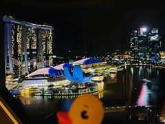 -新加坡丽思卡尔顿美年酒店
