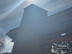 -藏味八珍特色火锅
