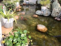 点击看大图 -维倪月子会所(独栋庭院·南海店)