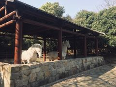 -白马涧龙池景区