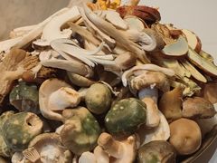 -七采菌园·野生菌石锅鱼(环城北路店)