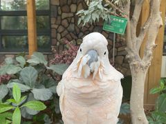 -南宫五洲植物乐园