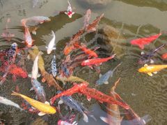 -广州花园酒店