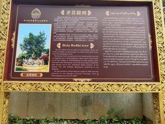 -西双版纳勐泐文化旅游区