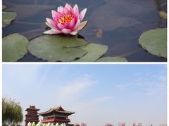 -清明上河园-迎宾门售票处