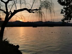 -浙江西子宾馆·牡丹厅