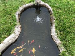 -优游吧斯邹族文化部落