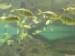 -北戴河圣蓝海洋公园