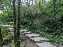 -北京西山国家森林公园