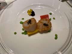 鱼子酱香煎带子皇-皇朝会.经典传统粤菜(外滩店)