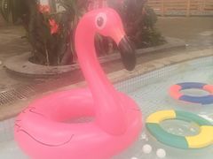 -南宫温泉水世界