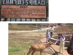 -梦幻奥陶纪景区