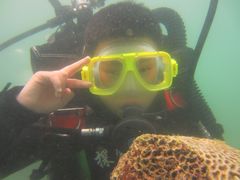 -吉野家(红博中央公园店)